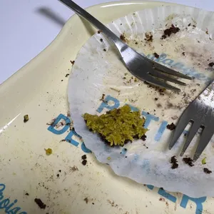 노 스모크 위드아웃 파이어 대표 사진