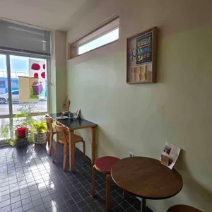 콩키 리뷰 사진