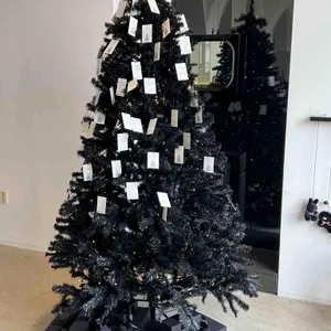 피어몬트 리뷰 사진