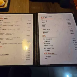 사이안 리뷰 사진