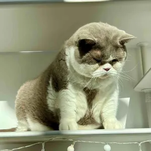 고영주택 리뷰 사진