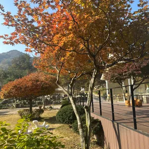 카페물길로 대표 사진