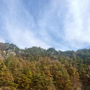 카페물길로 리뷰 사진