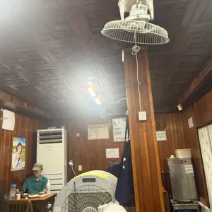 진로집 리뷰 사진