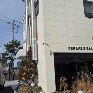 더 우산 리뷰 사진