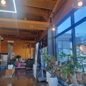 감자꽃 대표 사진