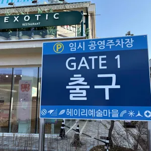 이그조틱 리뷰 사진