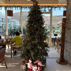 이그조틱 리뷰 사진