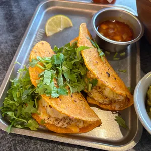 더타코부스 사진