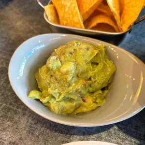 더타코부스 사진