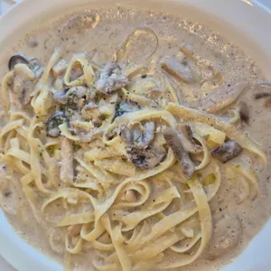 놉스 대표 사진