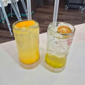 놉스 리뷰 사진