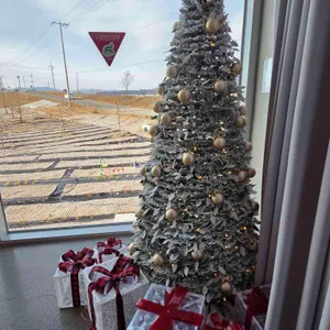 인필름 리뷰 사진