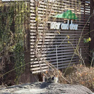 니어앤디어 사진 1