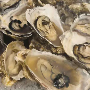 속초오징어어시장 리뷰 사진