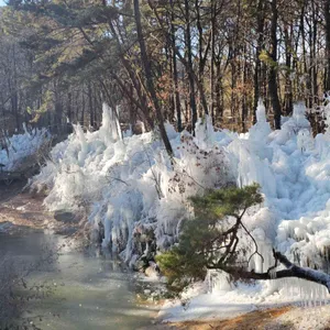 달리온 리뷰 사진