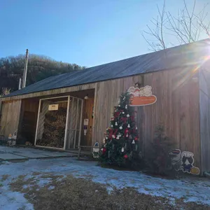 밀봄숲 리뷰 사진