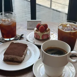 팬시어커파 사진