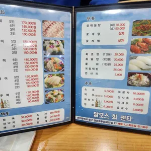 맘모스회센터 14호 리뷰 사진