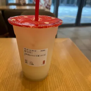 공차 리뷰 사진