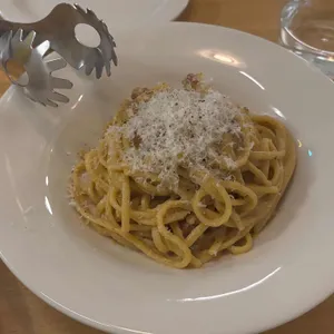 바카 대표 사진