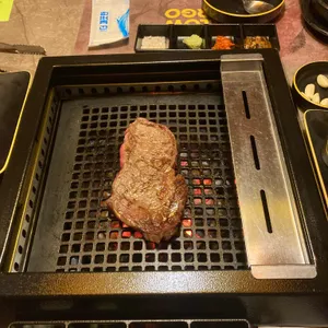 옐로우카고 리뷰 사진