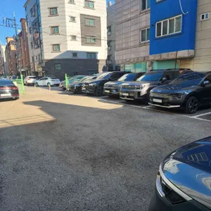 문성 5호 리뷰 사진