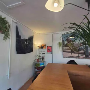 버드웍스 리뷰 사진