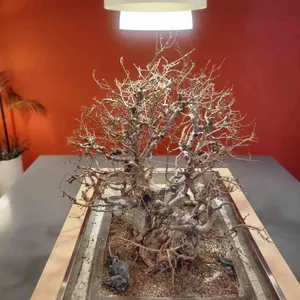 식스파운드디저트카페 리뷰 사진