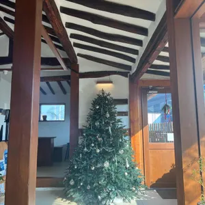 꽃비가 리뷰 사진