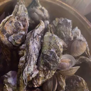 빨간낙지 & 통영굴찜 리뷰 사진