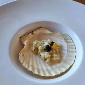 올라 리뷰 사진