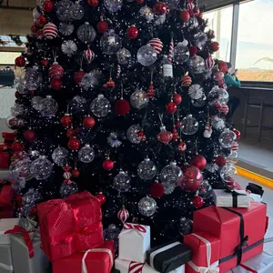 레이오버 리뷰 사진