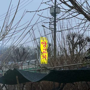 도봉산양고기 리뷰 사진