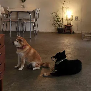 카페 피크닉 리뷰 사진