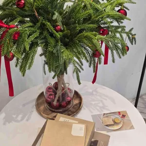 OUR in us 리뷰 사진