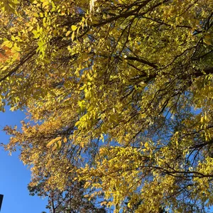 커피템플 대표 사진