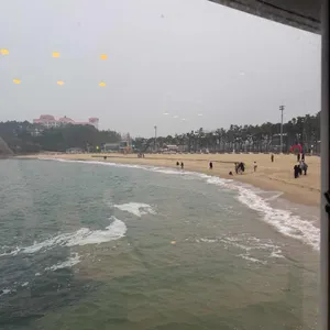 청상어 리뷰 사진