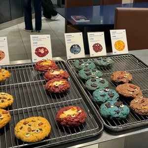 포컬포인트 리뷰 사진