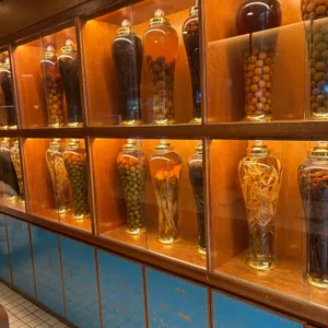 난포 리뷰 사진