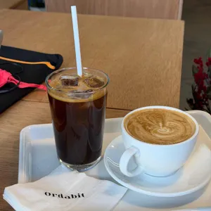 오르다빛 사진 2