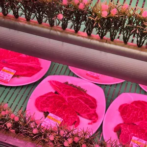 명품한우타운 리뷰 사진