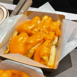 처비핑거스 사진