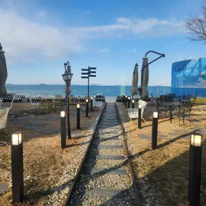 코브나인 리뷰 사진