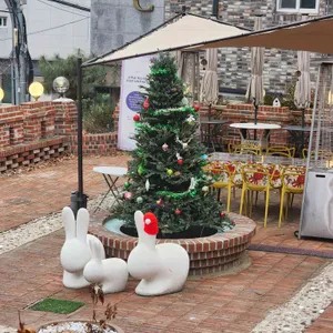 사이숲 리뷰 사진