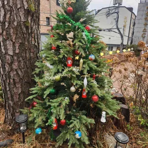 사이숲 리뷰 사진