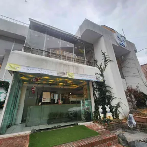 사이숲 리뷰 사진