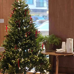 그라비에 리뷰 사진