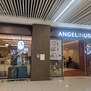 엔제리너스 리뷰 사진