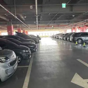 파이브가이즈 리뷰 사진